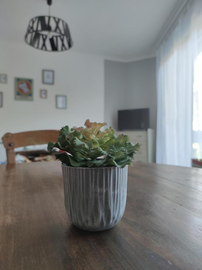 Les Plantades Aveyronnaises Apartment Saint-Georges-de-Luzencon Ngoại thất bức ảnh